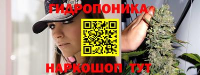 герыч Вышний Волочёк